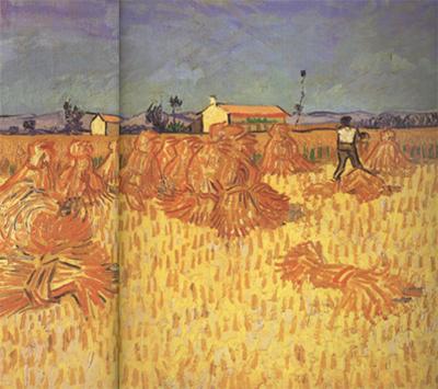 Vincent Van Gogh Harvest in Provence (nn04) oil painting picture